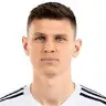 Ranko Veselinović