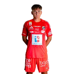 Nikolas Polster
