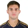 Marco Pellegrino
