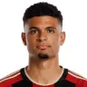 Miles Robinson