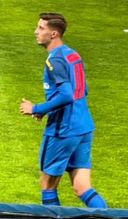 David Miculescu