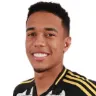 Brahian Palacios