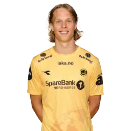 Ulrik Saltnes