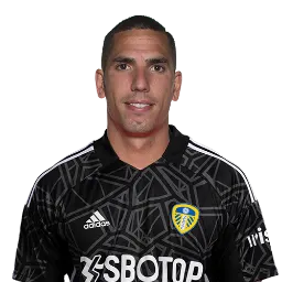 Joel Robles