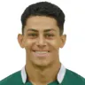 Vinicius Rodrigues