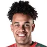 Alexander Machado