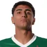 Facundo Torres