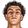 Guilherme Peixoto