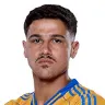 Rômulo Zwarg
