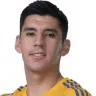 Jesús Angulo