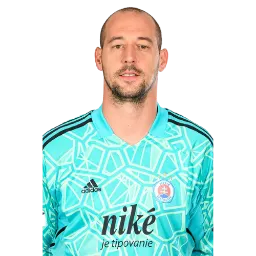 Milan Borjan