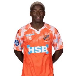 Yannick Leliendal