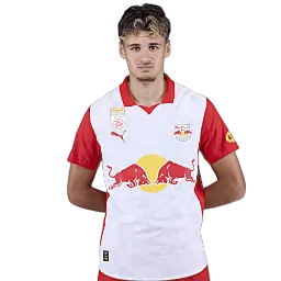 Kerim Alajbegović