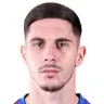 Srđan Plavšić