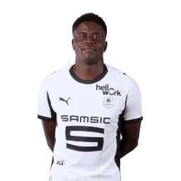 Brice Samba