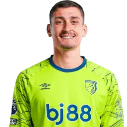 Đorđe Petrović