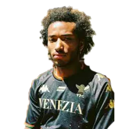 Gianluca Busio