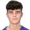 Florian Wustinger