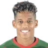 André Vidigal