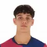 Hector Fort