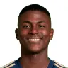 Néiser Villarreal